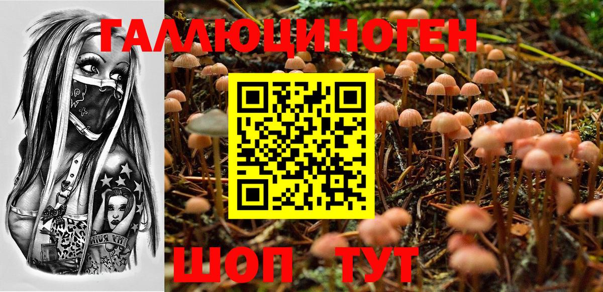 Дмитров  Псилоцибиновые грибы Magic Shrooms  Вход с VPN 